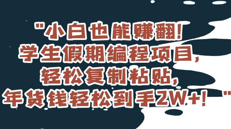 小白也能赚翻！学生假期编程项目，轻松复制粘贴，年货钱轻松到手2W+【揭秘】-生财有道