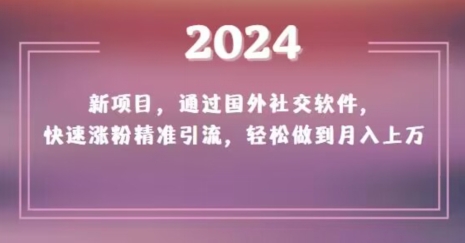 2024新项目，通过国外社交软件，快速涨粉精准引流，轻松做到月入上万【揭秘】-生财有道