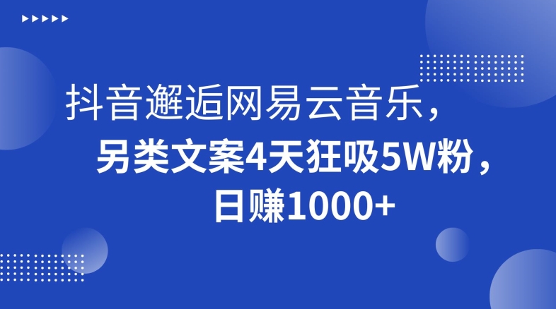 抖音邂逅网易云音乐，另类文案4天狂吸5W粉，日赚1000+【揭秘】-生财有道