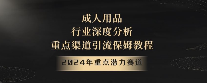 2024年重点潜力赛道，成人用品行业深度分析，重点渠道引流保姆教程【揭秘】-生财有道