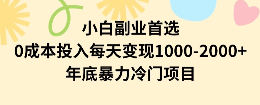 小白副业首选，0成本投入，每天变现1000-2000年底暴力冷门项目【揭秘】-生财有道