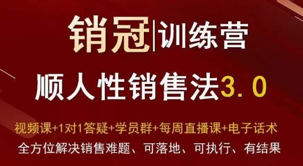 爆款！销冠训练营3.0之顺人性销售法，全方位解决销售难题、可落地、可执行、有结果-生财有道