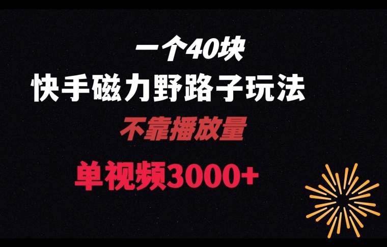 一个40块，快手联合美团磁力新玩法，无视机制野路子玩法，单视频收益4位数【揭秘】-生财有道