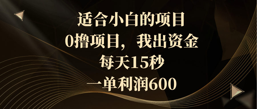 （8571期）适合小白的项目，0撸项目，我出资金，每天15秒，一单利润600-生财有道
