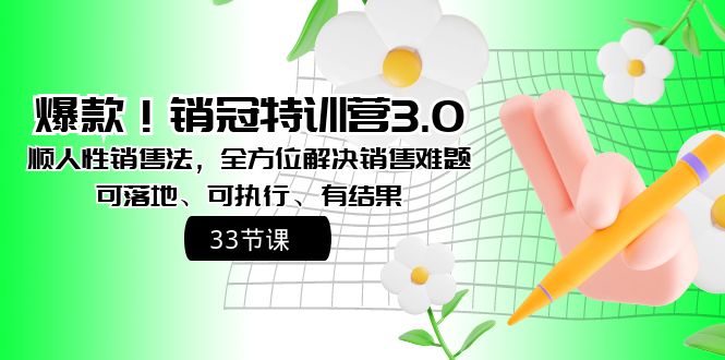 （8573期）爆款！销冠特训营3.0之顺人性销售法，全方位解决销售难题、可落地、可执…-生财有道
