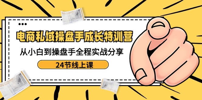 电商私域操盘手成长特训营：从小白到操盘手全程实战分享-24节线上课-生财有道