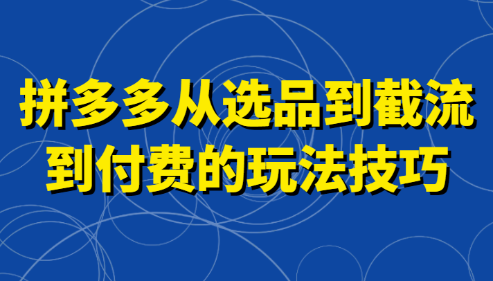 拼多多从选品到截流到付费的玩法技巧，助你掌握截流自然流量，高投产，强付费快速启动-生财有道