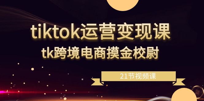 （8848期）tiktok运营变现课，tk跨境电商摸金校尉（21节视频课）-生财有道