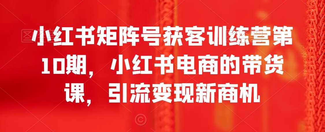 小红书矩阵号获客训练营第10期，小红书电商的带货课，引流变现新商机-生财有道