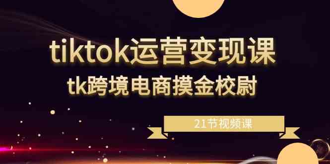 tiktok运营变现课，tk跨境电商摸金校尉（21节视频课）-生财有道