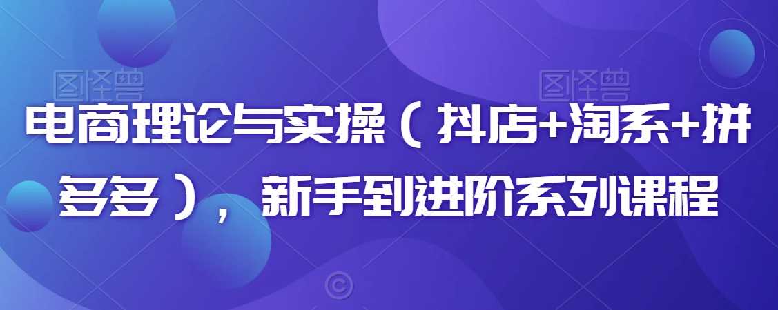 电商理论与实操（抖店+淘系+拼多多），新手到进阶系列课程-生财有道