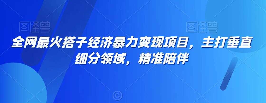 全网最火搭子经济暴力变现项目，主打垂直细分领域，精准陪伴【揭秘】-生财有道