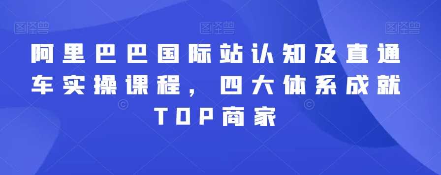 阿里巴巴国际站认知及直通车实操课程，四大体系成就TOP商家-生财有道