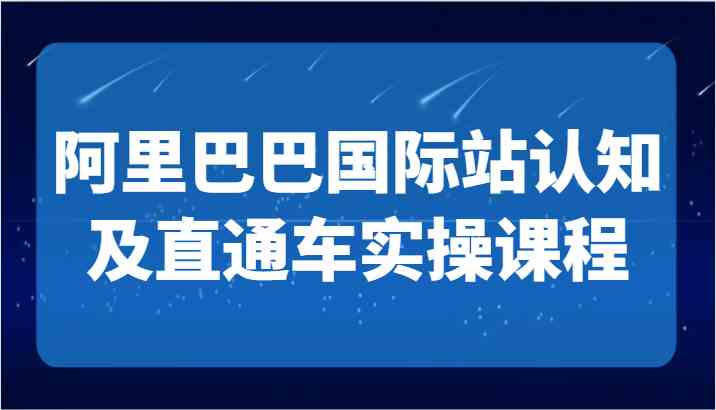 阿里巴巴国际站认知及直通车实操课-国际地产逻辑、国际站运营定位、TOP商家运营思路-生财有道