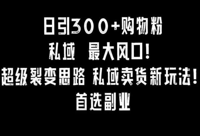 日引300+购物粉，超级裂变思路，私域卖货新玩法，小红书首选副业【揭秘】-生财有道