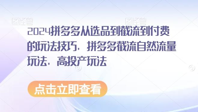 2024拼多多从选品到截流到付费的玩法技巧，拼多多截流自然流量玩法，高投产玩法-生财有道