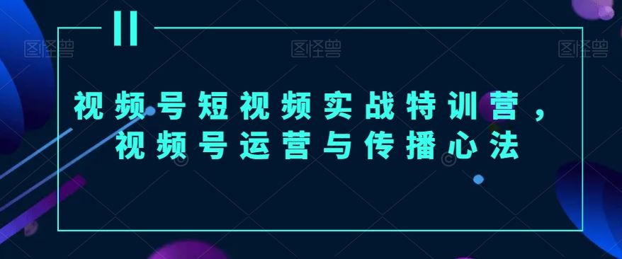 视频号短视频实战特训营，视频号运营与传播心法-生财有道