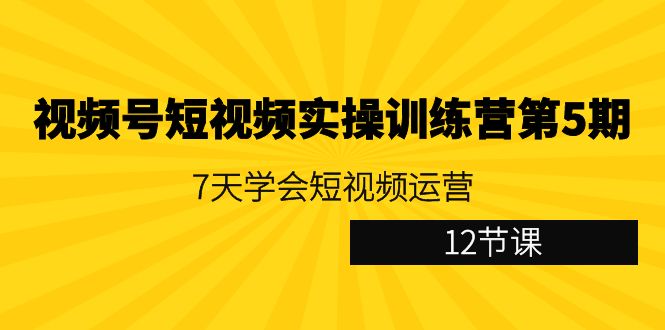 视频号短视频实操训练营第5期：7天学会短视频运营（12节课）-生财有道
