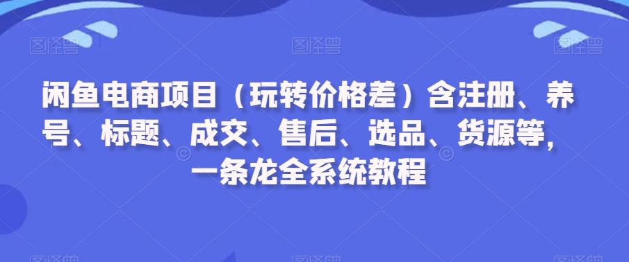 闲鱼电商项目（玩转价格差）含注册、养号、标题、成交、售后、选品、货源等，一条龙全系统教程-生财有道