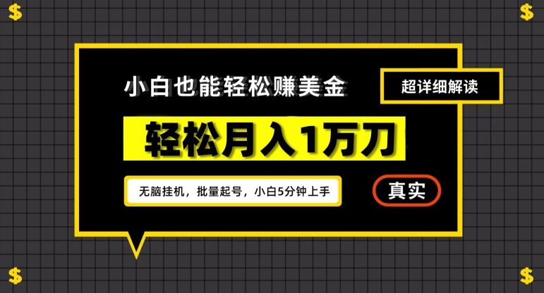 谷歌看广告撸美金2.0，无脑挂机，多号操作，月入1万刀【揭秘】-生财有道