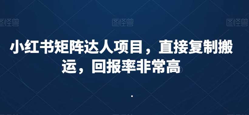 小红书矩阵达人项目，直接复制搬运，回报率非常高-生财有道