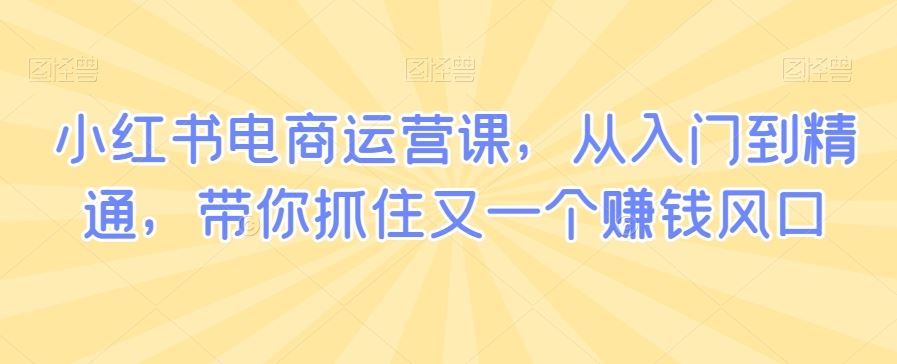 小红书电商运营课，从入门到精通，带你抓住又一个赚钱风口-生财有道