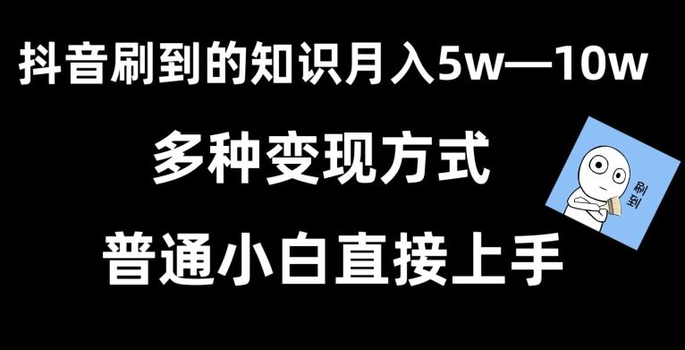 抖音刷到的知识，每天只需2小时，日入2000+，暴力变现，普通小白直接上手【揭秘】-生财有道