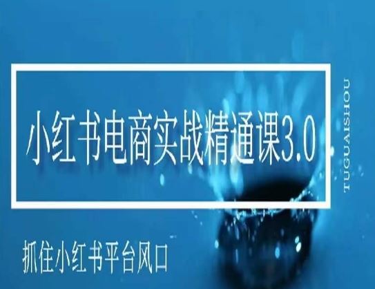 小红书电商实战精通课3.0，抓住小红书平台的风口，不错过有一个赚钱的机会-生财有道