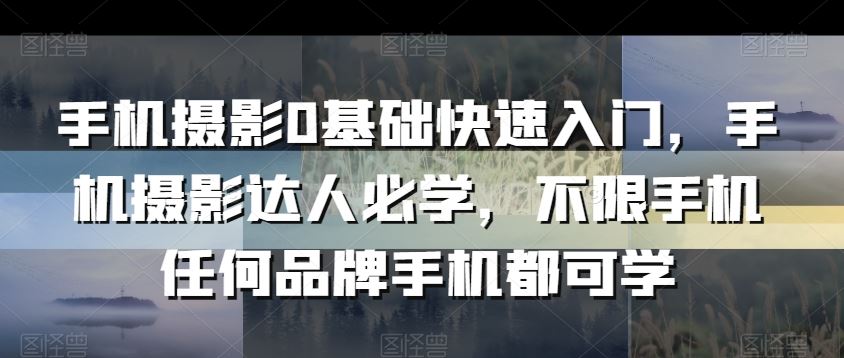 手机摄影0基础快速入门，手机摄影达人必学，不限手机任何品牌手机都可学-生财有道