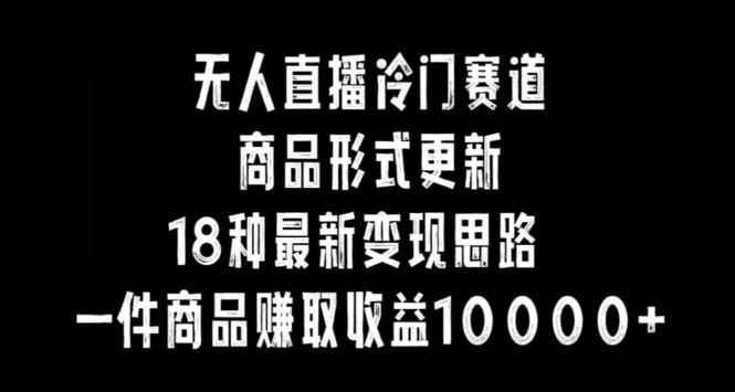 无人直播冷门赛道，商品形式更新，18种变现思路，一件商品赚取收益10000+【揭秘】-生财有道