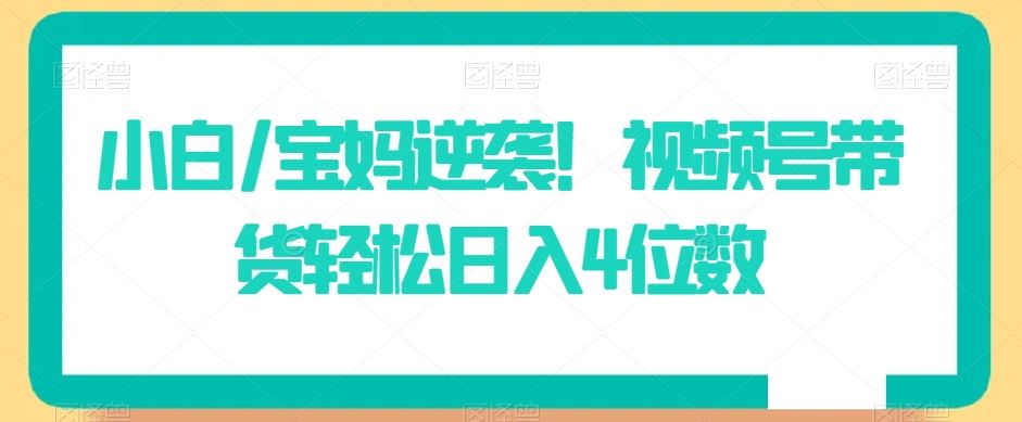 小白/宝妈逆袭！视频号带货轻松日入4位数【揭秘】-生财有道