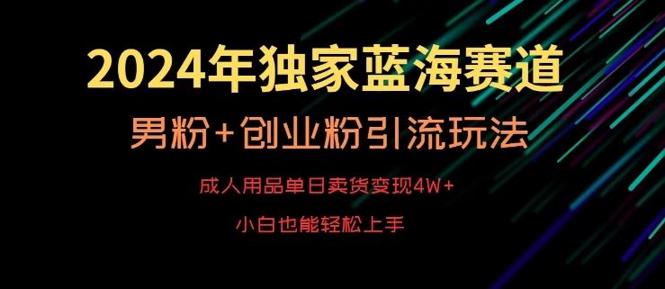 2024年独家蓝海赛道，成人用品单日卖货变现4W+，男粉+创业粉引流玩法，不愁搞不到流量【揭秘】-生财有道