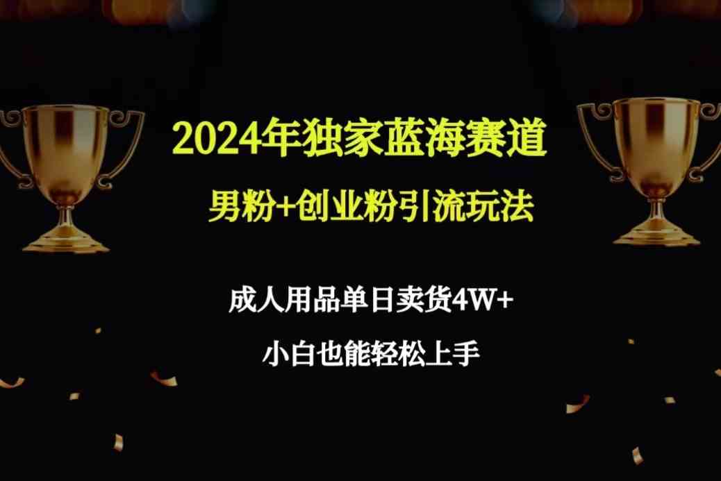 （9111期）2024年独家蓝海赛道男粉+创业粉引流玩法，成人用品单日卖货4W+保姆教程-生财有道