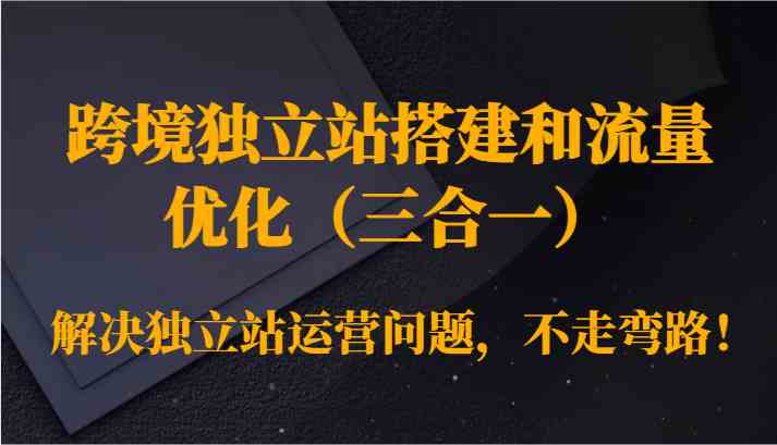 跨境独立站搭建和流量优化（三合一）解决独立站运营问题，不走弯路！-生财有道