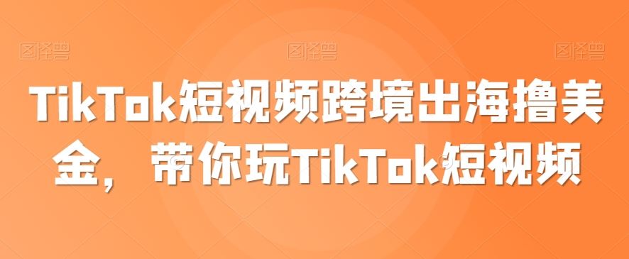 TikTok短视频跨境出海撸美金，带你玩TikTok短视频-生财有道