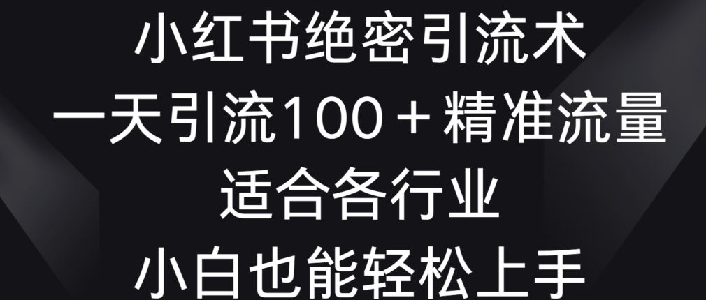 小红书绝密引流术，一天引流100+精准流量，适合各个行业，小白也能轻松上手【揭秘】-生财有道