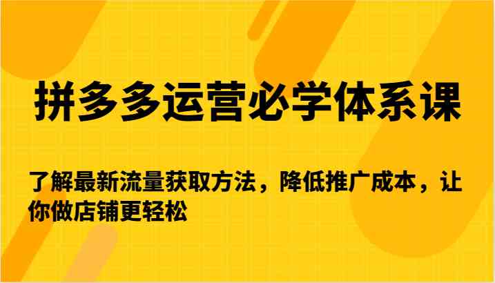 拼多多运营必学体系课-了解最新流量获取方法，降低推广成本，让你做店铺更轻松-生财有道