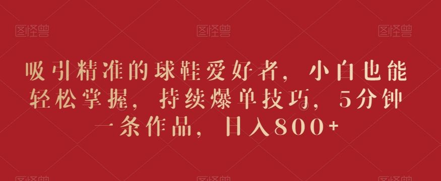 吸引精准的球鞋爱好者，小白也能轻松掌握，持续爆单技巧，5分钟一条作品，日入800+【揭秘】-生财有道