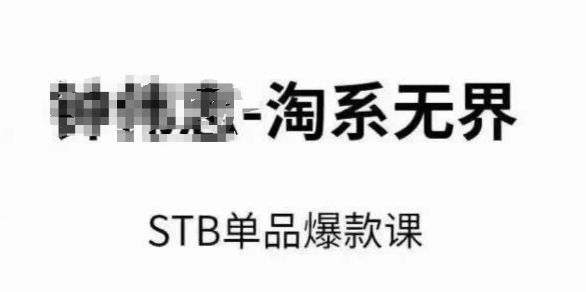 淘系无界STB单品爆款课（2024），付费带动免费的核心逻辑，万相台无界关键词推广/精准人群的核心-生财有道