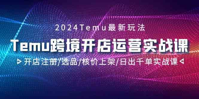 2024Temu跨境开店运营实战课，开店注册/选品/核价上架/日出千单实战课-生财有道