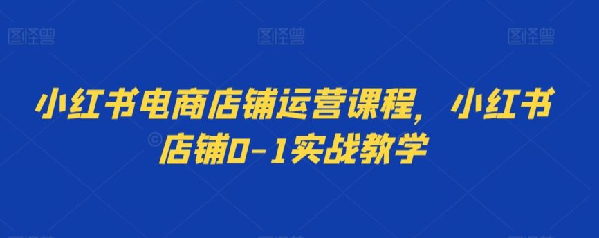 小红书电商店铺运营课程，小红书店铺0-1实战教学-生财有道