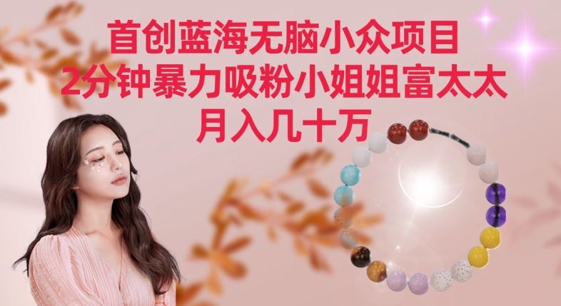 首创蓝海无脑小众项目，2分钟暴力吸粉小姐姐富太太，月入几十万【揭秘】-生财有道