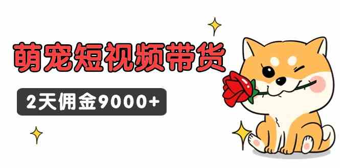 （9273期）东哲日记·萌宠短视频带货，2天佣金9000+-生财有道