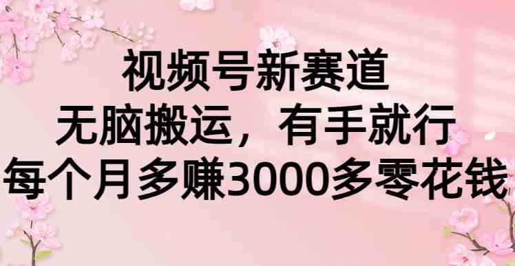 （9278期）视频号新赛道，无脑搬运，有手就行，每个月多赚3000多零花钱-生财有道