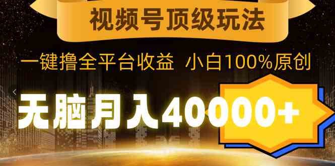（9281期）视频号顶级玩法，无脑月入40000+，一键撸全平台收益，纯小白也能100%原创-生财有道