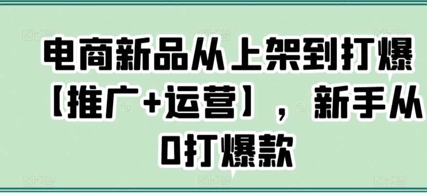 电商新品从上架到打爆【推广+运营】，新手从0打爆款-生财有道