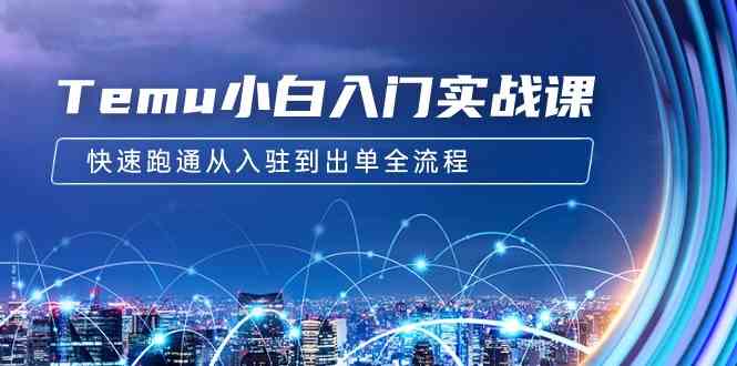 （9295期）Temu小白入门实战课：跨境拼多多电商培训 快速跑通从入驻到出单全流程-12节-生财有道