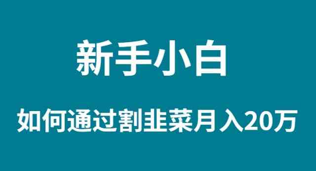 （9308期）新手小白如何通过割韭菜月入 20W-生财有道