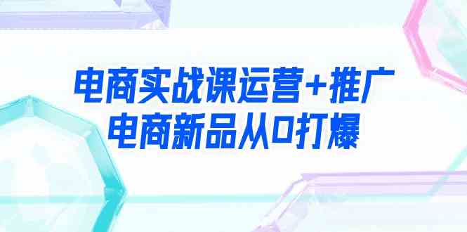 （9313期）电商实战课运营+推广，电商新品从0打爆（99节视频课）-生财有道