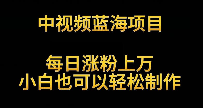 中视频蓝海项目，解读英雄人物生平，每日涨粉上万，小白也可以轻松制作，月入过万不是梦【揭秘】-生财有道